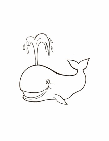 Раскраска. Кит