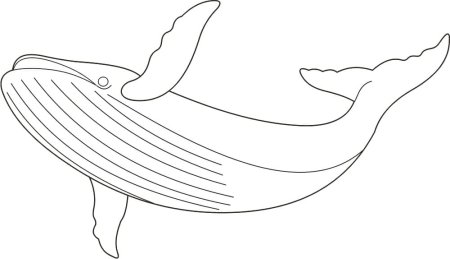 Кит раскраска для детей