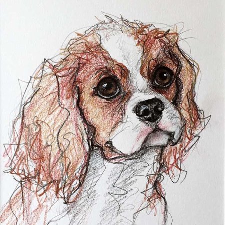 Акварель Кинг Чарльз спаниель