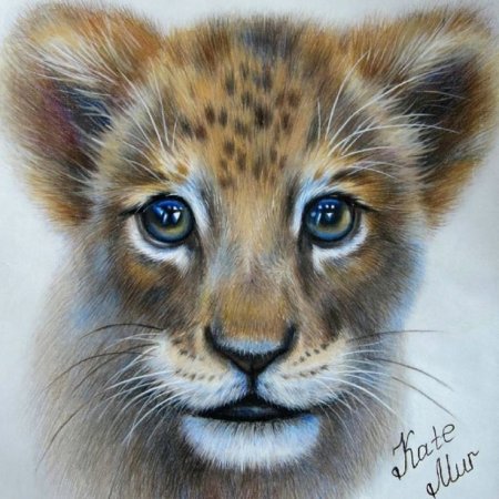 Животные рисунки