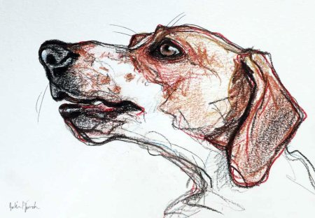 Собака скетч