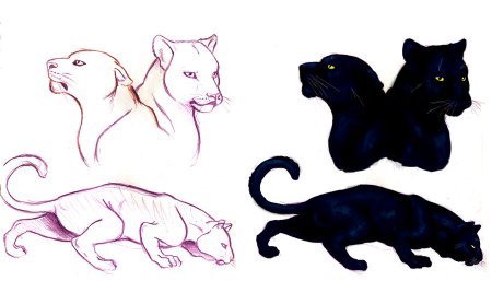 Пантера для рисования