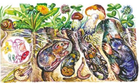 Подземные обитатели для детей