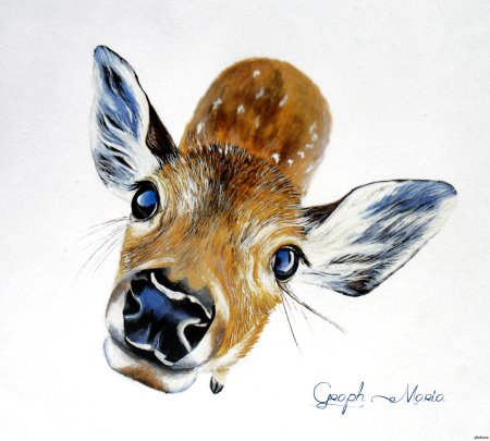 Олень цветными карандашами