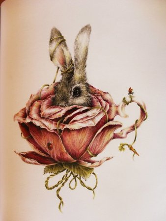 Марджолен Бастин иллюстрации кролик