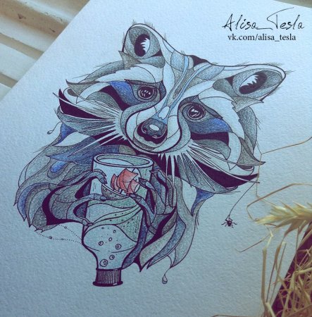 Эскизы енотов