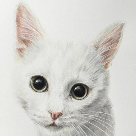 Белый кот нарисованный