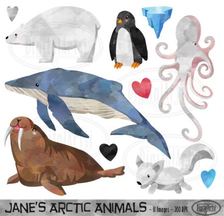 Рисунки антарктических животных