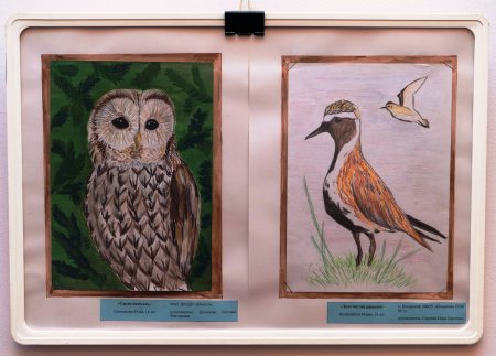 Животные красной книги выставка