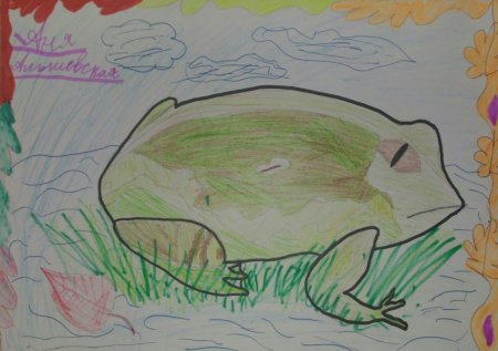 Рисунки животных из красной книги Пермского края