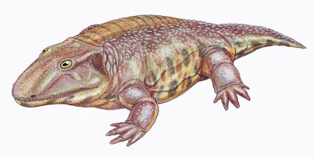 Животные Пермского периода камакопс