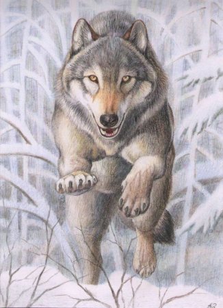 Антон Шкурко художник