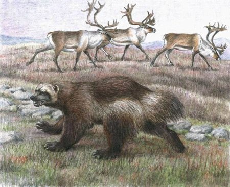 Художник Антон Шкурко картины