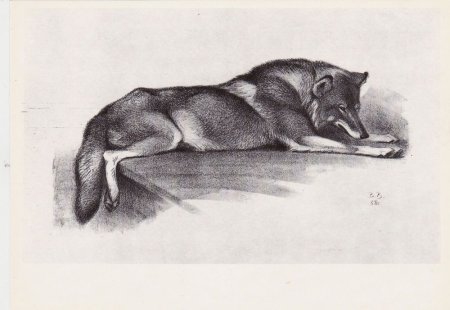 Василий Ватагин волки