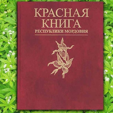 Красная книга животных Республики Мордовия