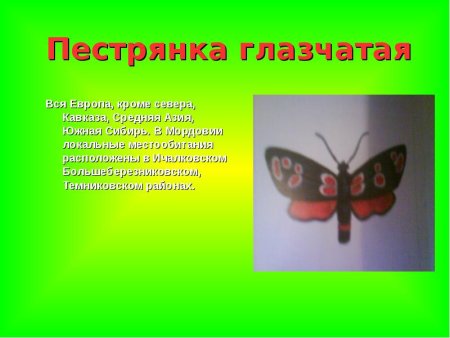 Красная книга Мордовии животные и растения