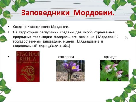 Красная книга Республики Мордовия