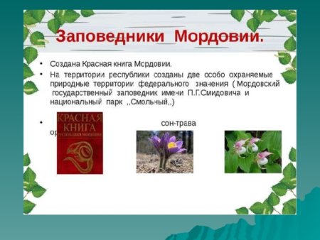 Книга птицы Мордовии