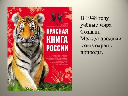 Животные занесенные в красную книгу России ЗУБР
