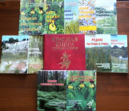 Рябчик русский красная книга Мордовии