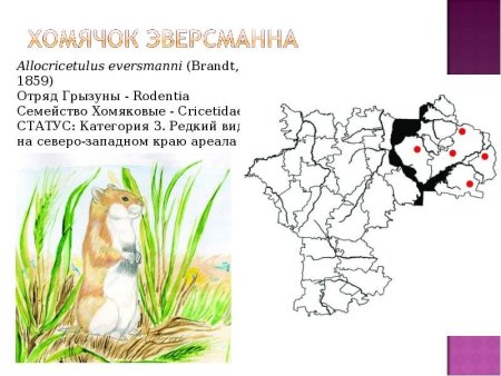 Красная книга Мордовии птицы