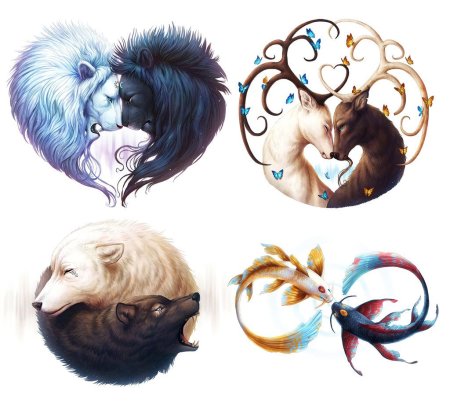 Инь Янь в виде животных