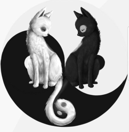 Инь Янь в виде животных