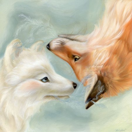 Влюбленный Лис