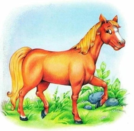 Раскраска кот