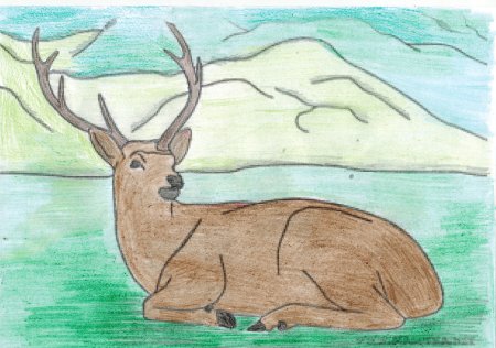 Заповедник рисунок