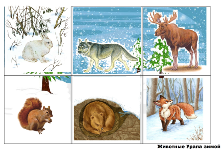 Заповедник рисунок