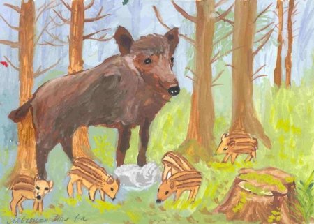 Зарисовки диких животных