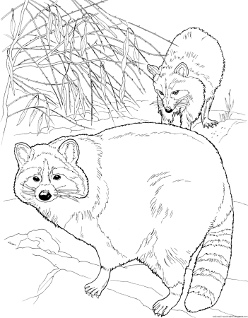 Заповедник рисунок