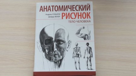 Иллюстрации анатомия для книги