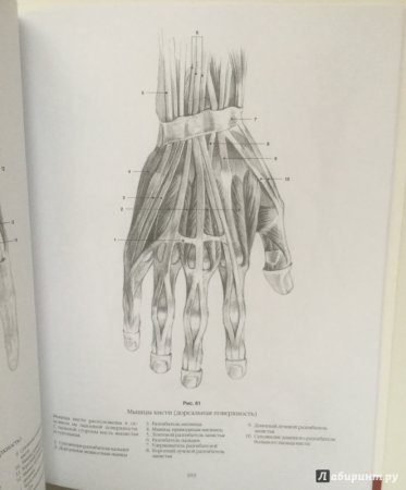 Книги по рисованию портретов