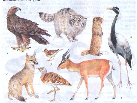 Рисование животных степей