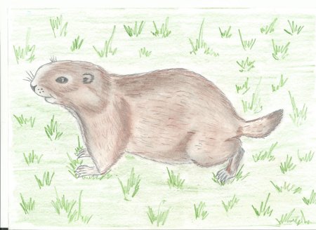 Представители фауны степей