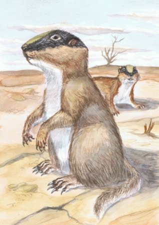 Художник анималист Смирин