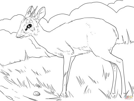 Сурок (Байбак) черно белый