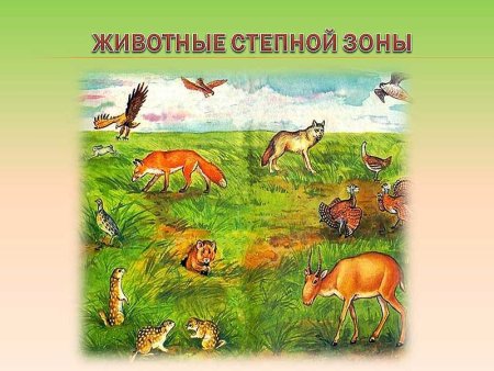 Флора и фауна степей иллюстрации
