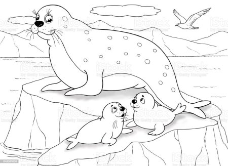 Раскраски животных Арктики и Антарктиды