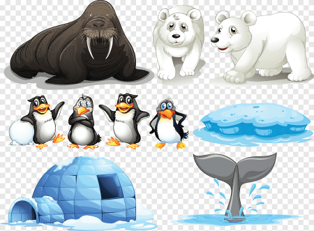 Животные Арктики мультяшные на белом фоне