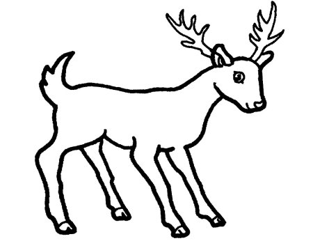 Картинки для раскрашивания животные