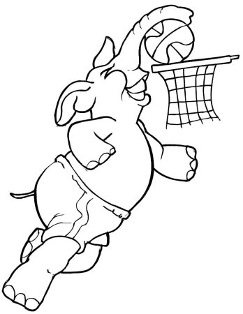 Зверята спортсмены раскраски