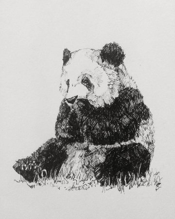 Животные тушью