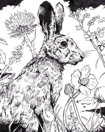 Животные тушью