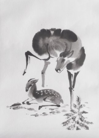 Наброски животных тушью