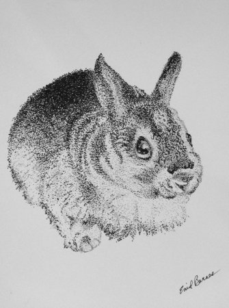 Кролик пуантилизм