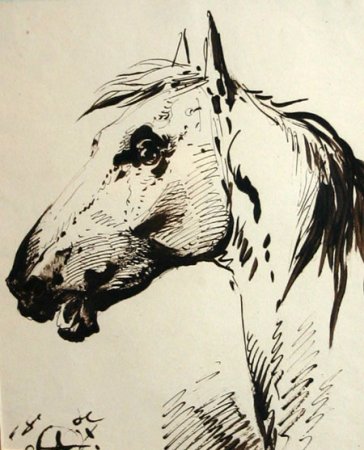 Графика лошади тушь