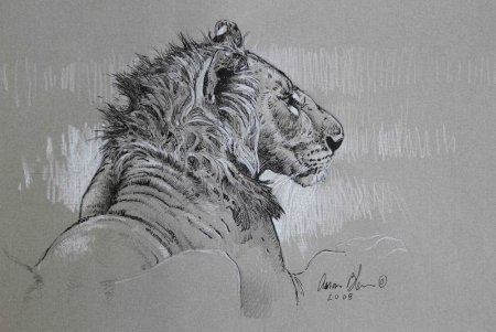 Рисунок тушью животные